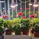 김종구농장 이미지