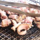 바다산곰장어 이미지