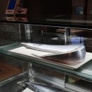 파도복어 이미지