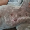 김대진동물병원 이미지