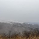 1/10/2026 정기산행 Jenkin's gap to Gravel Spring gap shelter 이미지