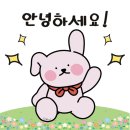 [리뷰] 장안동 술집 감성있는 장안의밤에서 쫀득 숙성회 후기