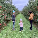 온주농장 이미지