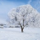 대흥식육숯불생고기 이미지