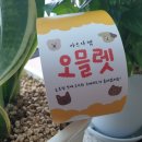 바르다펫 중화점 이미지