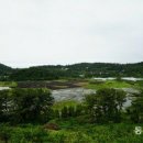 하논의 아침 이미지