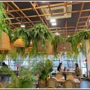 운천축산 이미지