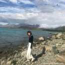 데카포 | 뉴질랜드 숙소 YHA 데카포 하카 4인실 후기 가격 주차