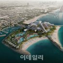 엠지엠인터내셔널