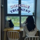 스테이앤유 | 동해 오션뷰 숙소 에어비앤비 트루스테이