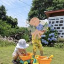 제주나랑하 이미지