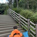 강동 아이와 산책하기 좋은 명일근린공원(숲체험원)