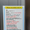 하늘숲캠핑장 | 포항 캠핑장 추천! 계곡+수영장+평상 있는 포항 하늘숲 오토캠핑장에서 할로윈 캠핑!