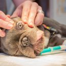 이스턴동물병원 이미지