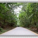 일영펜션 이미지