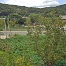 자경농장 이미지