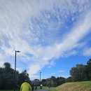 백쉰한번째 2026년 8월 23일 : Waterview-Mt. Albert-War Memorial Park-Keith Hay 이미지