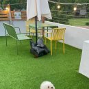 석전근린공원 이미지