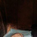 풍산농장 이미지