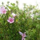 강동면사무소 이미지