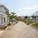 호숫가 드림 펜션 이미지