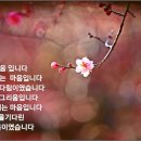 봄을 그리다 이미지