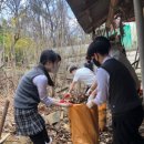 율면초교 이미지