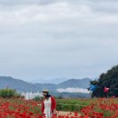 용수골매점