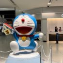 (주)첼로항공 이미지