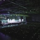 제주리월드 이미지