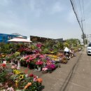 오정식물원 이미지