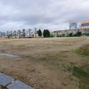 대전용전중학교 이미지