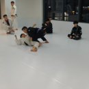 팀루츠