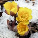 소백산에서 이미지