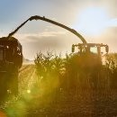 옥석농장 이미지