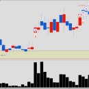 일성트레이딩 이미지