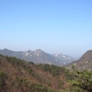 조령상회 네이버블로그