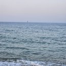 오션파크호텔 이미지