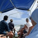 가자 섬으로호 | 탄자니아 잔지바르 능위 돌핀 투어 사기, 음넴바섬 스노클링 후기(가격, 준비물, 팁)