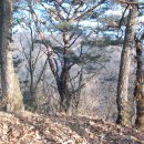 평창 지동봉가옥 이미지