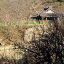 금호유도관 | 광주.전남 10대정자(호수형)