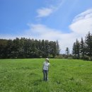 숲에서 | 제주 웨딩스냅 명소 비밀의숲에서 찍은 인생샷 후기 셀프 스냅 후기