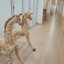 연세아이들소아청소년과의원 이미지