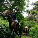 풍경이 그려지는 집 이미지