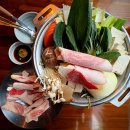 강남역 신논현역 이자카야 모야 차돌 스키야끼, 닭목살구이 후기