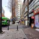 월드팜약국 이미지