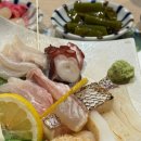 아오바바 | 부산오마카세 해운대 오마카세 아오바 13만원 아오바 특선 후기