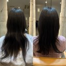 제드짐 | 대구 범어동 미용실 비욘드헤어 컷트 클리닉 잘하는 수성구 미용실 추천