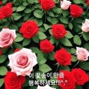 영차영차