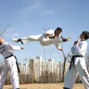 비호 합기도 체육관 이미지